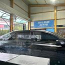 미르카센타 이미지