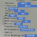 마리아내과의원 | 임신준비#7 일산마리아의원 첫방문 검사 결과, 정액검사결과, 난포 주사 및 비용