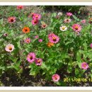 패밀리펜션 이미지