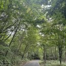 마천 공중화장실 | [삿포로 여행] 노보리베츠 센겐 국립공원(지옥계곡 / 오유누마 연못 / 천연 족욕탕 / 주변 맛집...