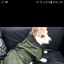 윤미용실 이미지