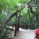 삼성숲공원 이미지