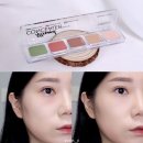 올라운드뷰티(Allround-beauty) | [캐트리스] 5가지 컬러 코렉팅 , 올라운드 컨실러 팔렛트