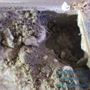 대림지하수 | 바닥에서 갑자기 물이 올라옵니다 누수일까요? 원인과 확인 방법 총정리