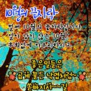 미스터리한 남편이라는 존재? 이미지