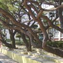 양지초등학교 이미지