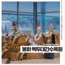 욜로푸드 | 경북 웰니스 연말여행 백두대간수목원 입장료 혜택 (가든스테이)