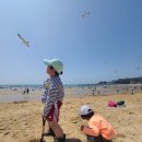 인천의 깃대종 이야기 | ●인천 : 갯벌의 중요성, 지속가능한 송도갯벌 만들기 (주민공론장 참여후기)