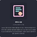멜팅