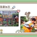 미주유치원 이미지