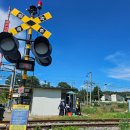 정맥11차＜11＞/금북2(대곡(고등)고개~차동고개)63.31km.. 깊고 아득한 시간의 꼬리에 묻다. 이미지