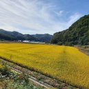 원주민부동산중개사무소 이미지