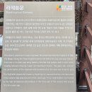 라제통문벚꽃길 이미지