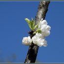까치울역 2번 출구 이미지