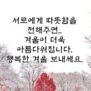 찬바람 불 때 체온 높이는 6가지 음식 이미지