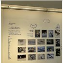 드로잉으로 만나는 소소한 일상 | 서울 전시회 후기 새들의 소소한 일상전 감성 추천