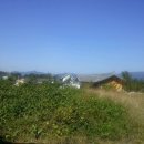 회현농장 이미지