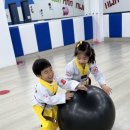 화남 태권도 이미지