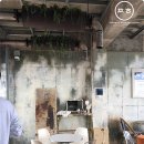 망고홀릭제주 이미지