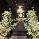 웨스턴베니비스 | [공지] 서울 어두운 웨딩홀 추천 영등포 웨스턴베니비스 상담 후기 26년 하반기 12월 견적 공유