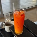 가파초등학교 | 2026.02.18-02.20 : 제주여행 2편(마라도,산방산유채꽃,올레마당,갈치김밥,수눌음,삼일해장국)