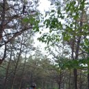 [고길쾌짧] 고양랠리 풀코스 답사 라이딩후기(2014.05.17)