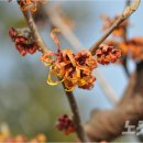 산림자원연구소 이미지