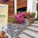 커핑 브레드 이미지