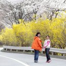 태조산 공원 이미지