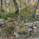 중방-9(르까프 앞) | [어르신에 충성] 경주 기림사의 가을 풍경...