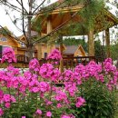 팝콘하우스 이미지