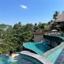 780020 | 발리 여행 4일차 더카욘정글 리조트 후기 (플로팅조식, 케피투레스토랑)