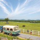 유유목장 이미지