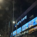 노량진 수산시장 참치회 포장 금성수산 내돈내산 후기 (+우니,단새우 가격), 주차정보
