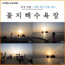 꽃지해안공원 | 겨울 태안 가볼만한곳 새해 일몰 명소 꽃지해수욕장 &amp; 꽃지해안공원