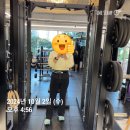 퍼팩트 핏짐) 내돈내끊 일년등록! 두 달 다닌 후기