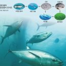 노다지수산 이미지