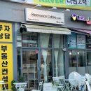 레조넌스 커피랩 티스토리