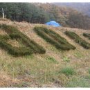 산두른마을 이미지