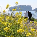 법환동-19 이미지