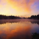 라마리차 이미지