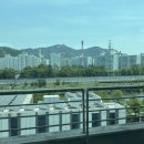 영복마트 | 12. 하지(夏至) - 1년 중 낮이 가장 긴 날(25. 6. 6. ~ 25. 6. 21.)