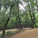 꿩고개근린공원 네이버블로그