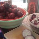 동의약초건강원 이미지