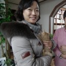 서유당 이미지