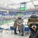 2024 강원동계청소년올림픽대회, 쇼트트랙 500m 직관 후기,뭉초,주차