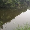 신녕고기마트 Daum카페