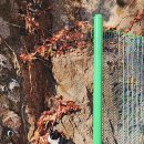 고양이 자리 이미지