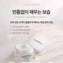 루아셀