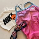 컬렉터 | 여자 실내수영복 추천 - 셸컬렉터 강습용 수영복 (나이아 히비스커스 착용 후기👙)